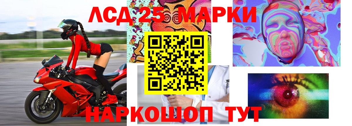 Лсд 25 экстази  Вход с VPN  Бердск  LSD-25 экстази кислота  ЛСД экстази кислота 